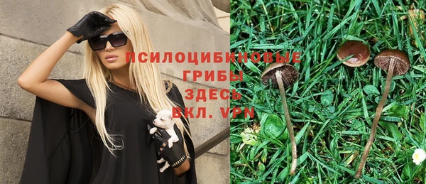 каннабис Баксан