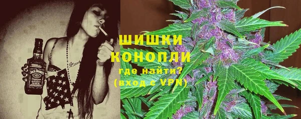 шишки Аркадак