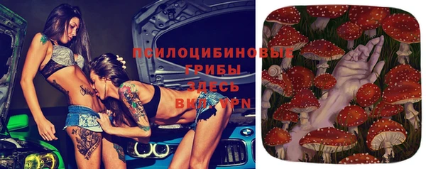 прущий лед Арсеньев