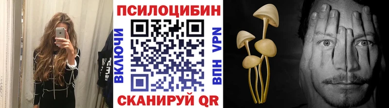 Псилоцибиновые грибы прущие грибы кракен сайт Феодосия даркнет сайт